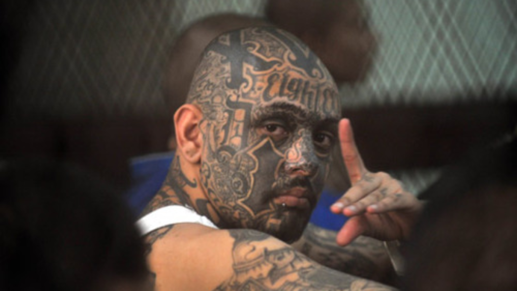 7 Of The Most Dangerous Gangs Taking Over Florida