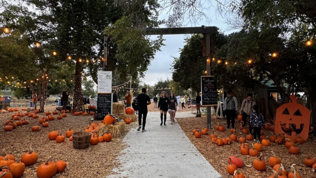 Morgan Hill Pumpkin Patch Sparks Local Concerns