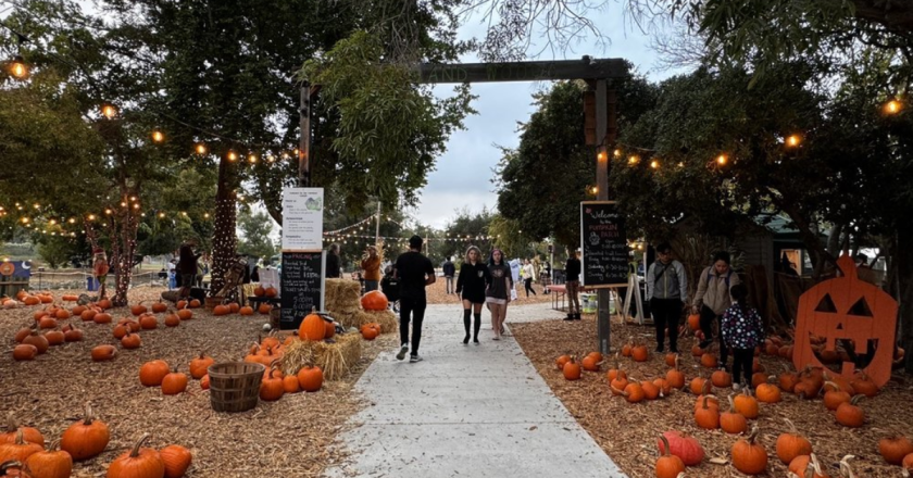 Morgan Hill Pumpkin Patch Sparks Local Concerns