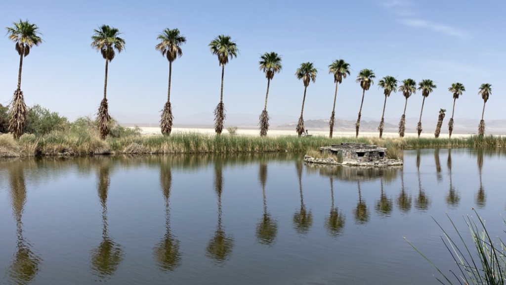 Discover the Mysterious History of California’s Zzyzx Road and Ghost Town