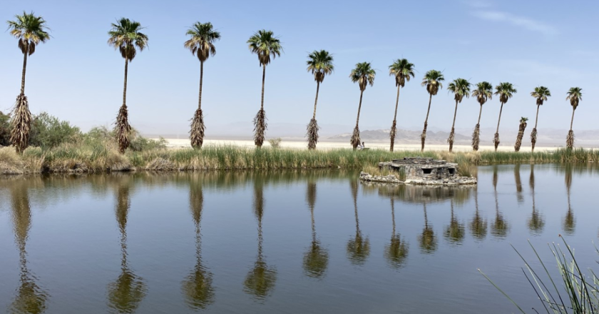 Discover the Mysterious History of California’s Zzyzx Road and Ghost Town