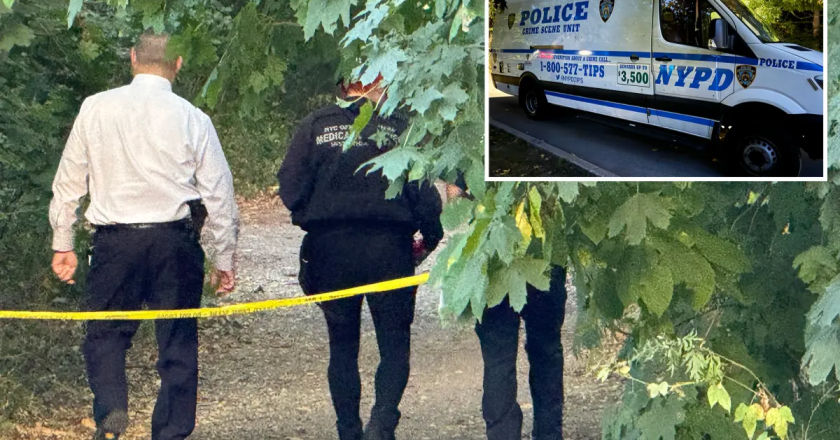 Tragic Discovery in Pelham Bay Park: Man Found Hanging from Tree