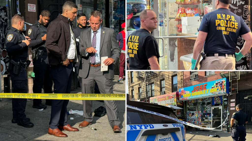 29-Year-Old Mother Fatally Stabbed in Bronx Bodega Feud