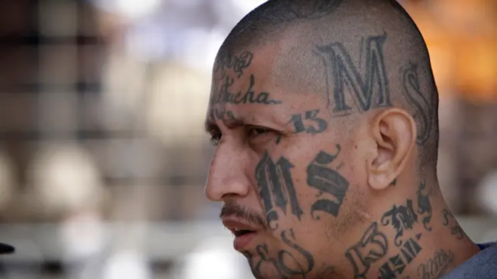 7 Of The Most Dangerous Gangs Taking Over New York