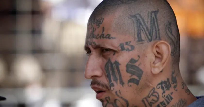 7 Of The Most Dangerous Gangs Taking Over New York