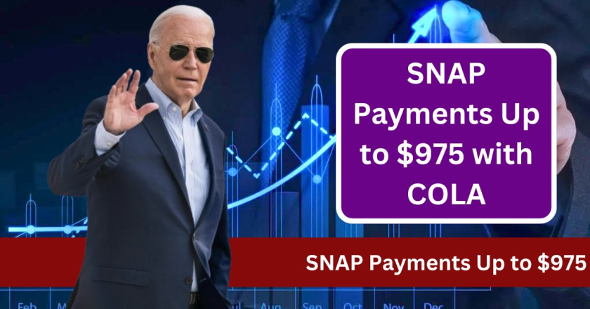 SNAP Payments of Up to $975 for a Family of 4: October Food Stamps Update