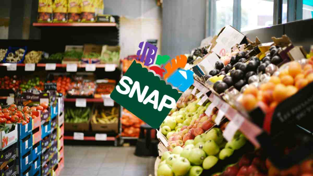 Florida SNAP Recipients Can Apply to Replace Food Lost During Hurricane Milton