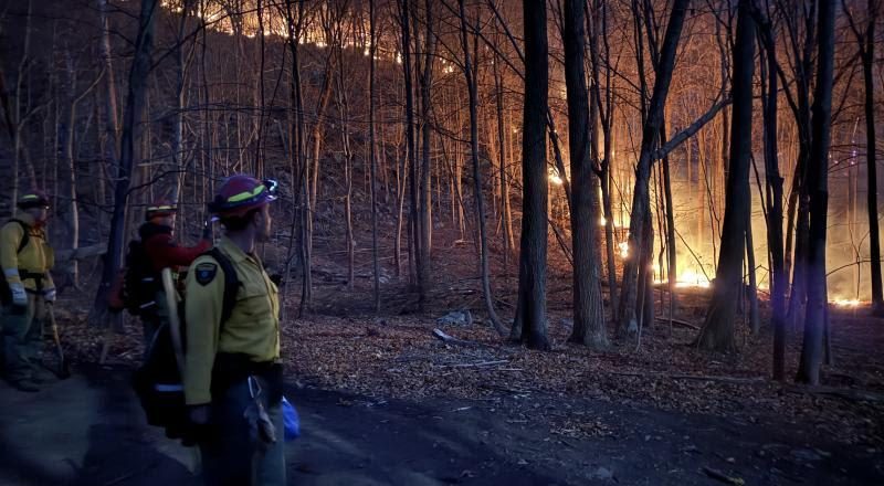 New York Forest Rangers Tackle Wildfires, Search & Rescue Efforts Amid High Fire Danger