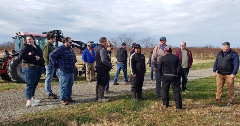 Grape Growers Learn Key Pruning Techniques for Higher Yields at Cornell’s AgriTech Campus