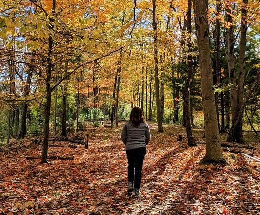 Explore Nature’s Hidden Wonders on a Fall Foray at Audubon Center