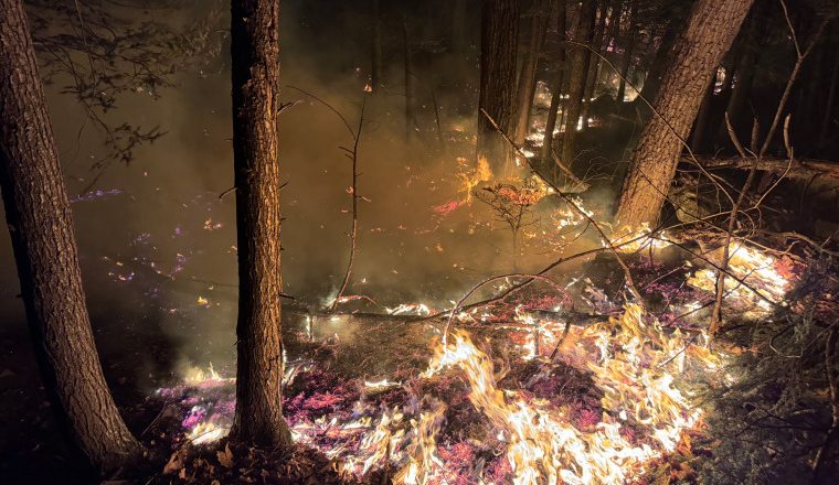 Dry weather and wind contributing to elevated wildfire conditions throughout Northeast