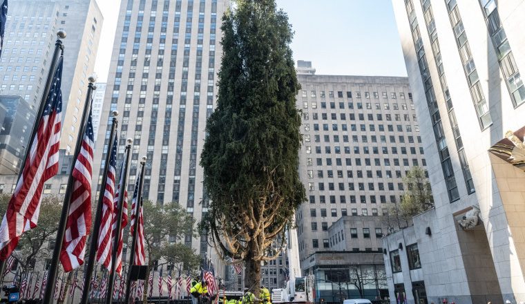 Rockefeller Christmas tree lighting 2024: When it is, how to watch and what to know