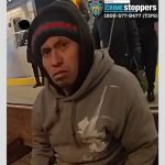 NYPD searching for man who fatally set woman on fire in the subway