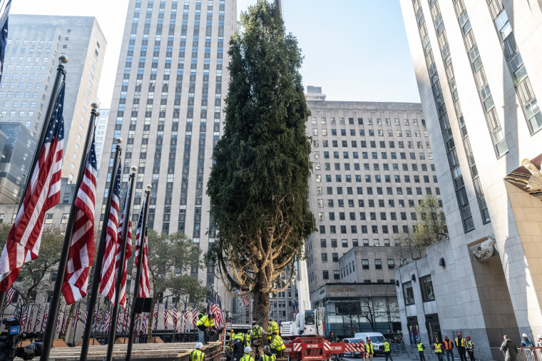 Rockefeller Christmas tree lighting 2024 When it is, how to watch and