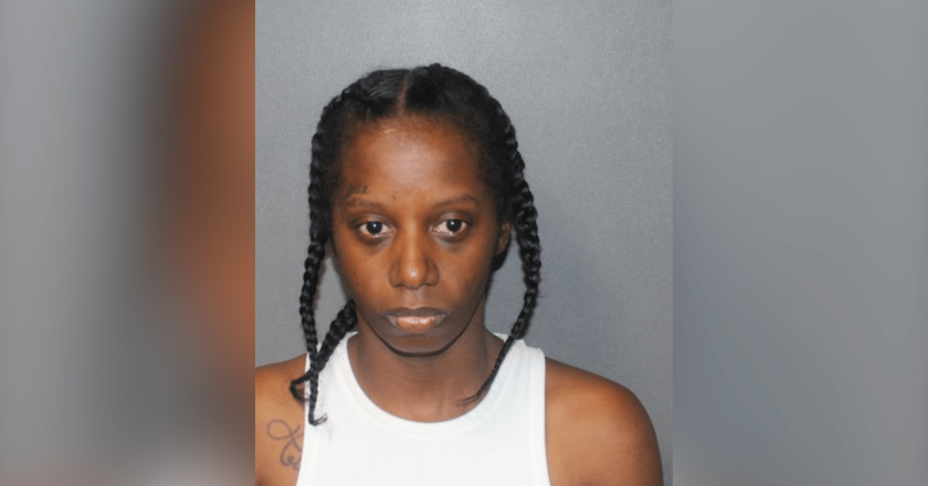 Buffalo Woman Pleads Guilty to Manslaughter in Fatal Emerson Neighborhood Shooting