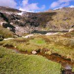 Missing Australian hiker found after surviving two weeks on muesli bars and berries