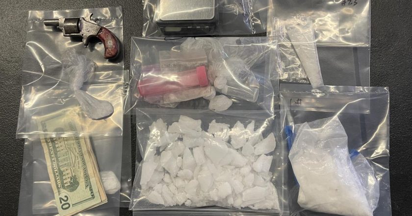 Search Warrant in Charlotte Leads to Drug and Firearm Seizure