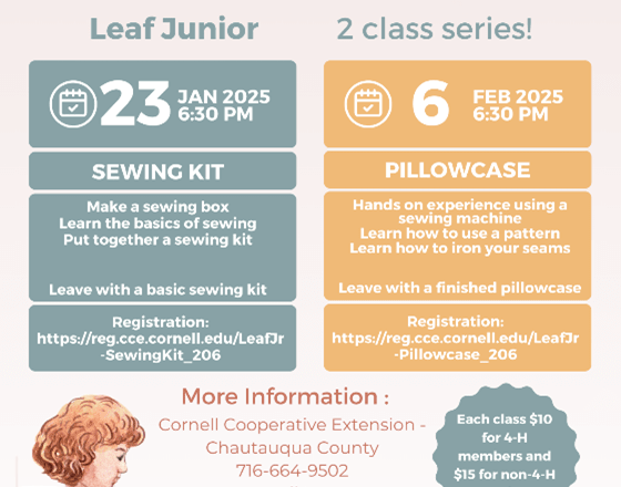 Unlock the Art of Sewing: Chautauqua County 4-H Launches Two-Part Sewing Series for Youth