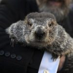 Punxsutawney Phil sees his shadow, handlers say, predicting 6 more weeks of wintry weather