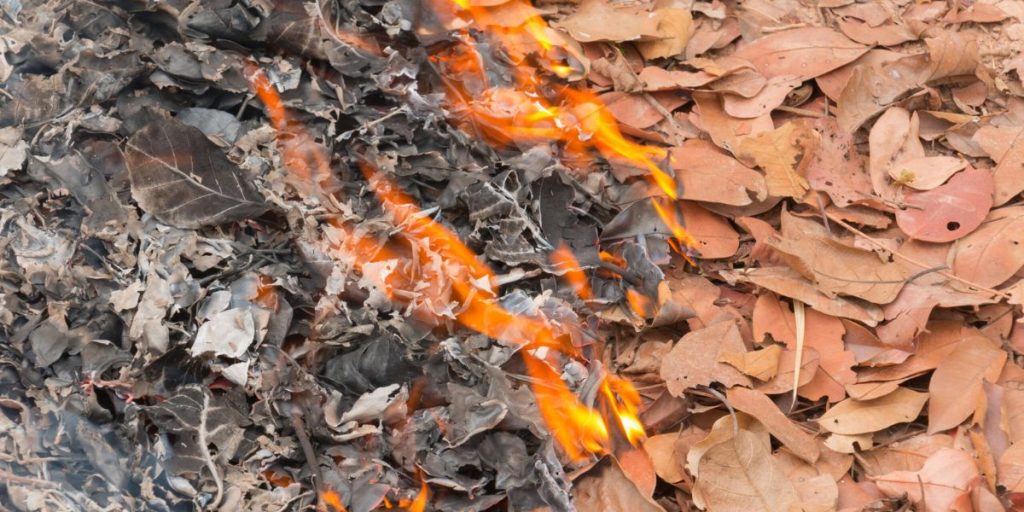 Can Georgia Residents Burn Leaves and Debris in Their Own Yard