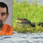 Bizarre Florida Incident: Man Bitten By Gator, Then Fatally Shot by Police