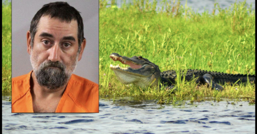 Bizarre Florida Incident: Man Bitten By Gator, Then Fatally Shot by Police
