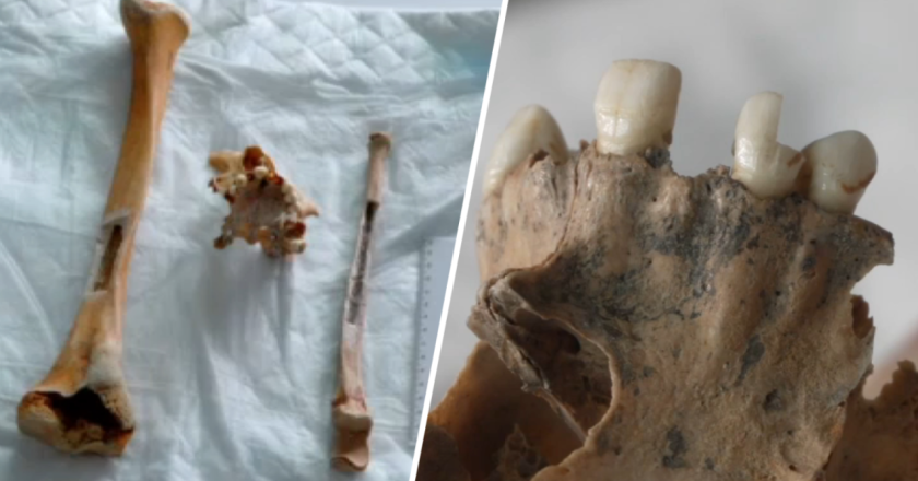 Human Bones Found Along Jersey Shore Linked to 1844 Maritime Disaster