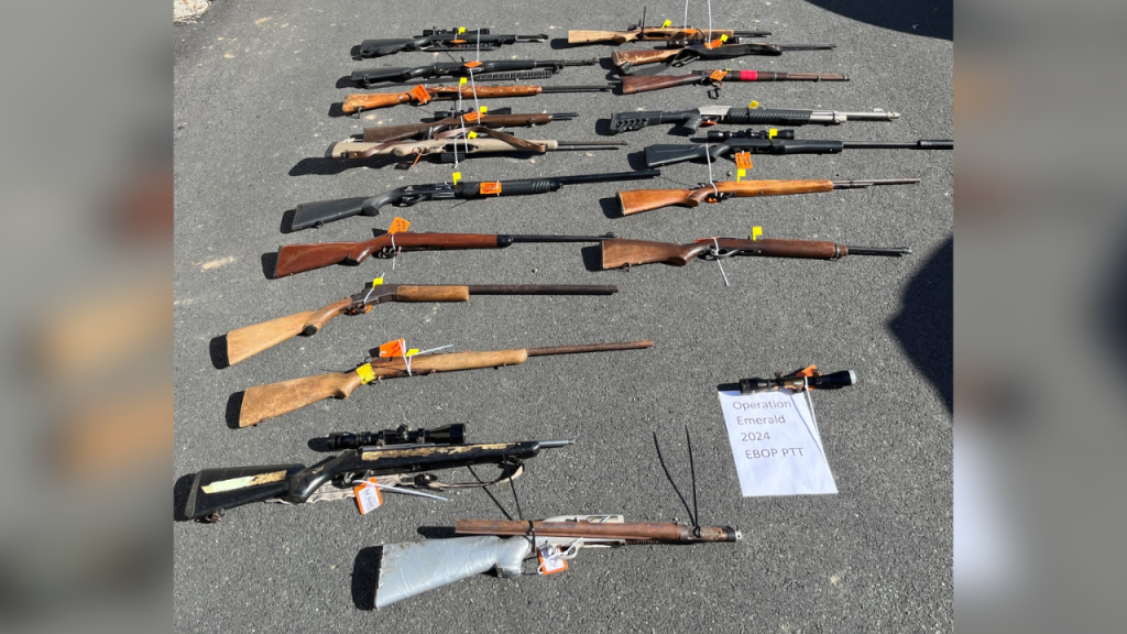 Massive Crackdown: 16 Lowcountry Gang Leaders Busted in Huge Drug and Gun Sting