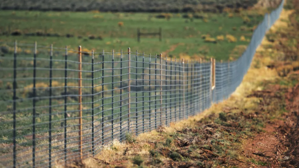 A billionaire’s Fence In Colorado’s San Luis Valley sparks creation Of New State Law