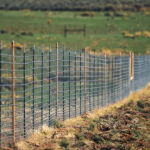 A billionaire’s Fence In Colorado’s San Luis Valley sparks creation Of New State Law