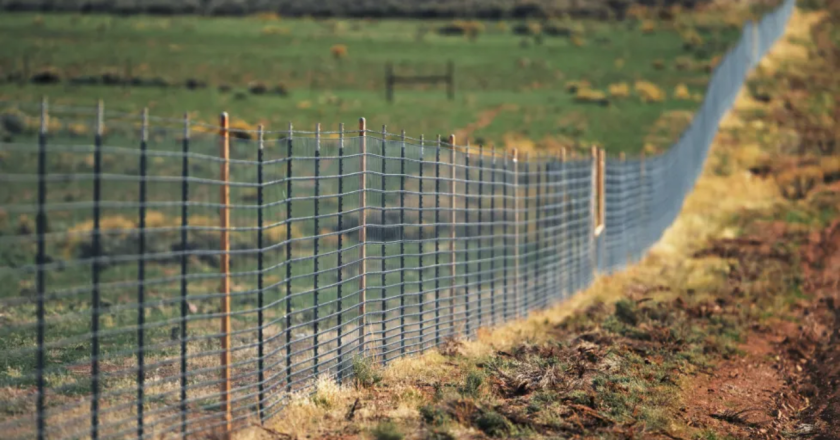 A billionaire’s Fence In Colorado’s San Luis Valley sparks creation Of New State Law