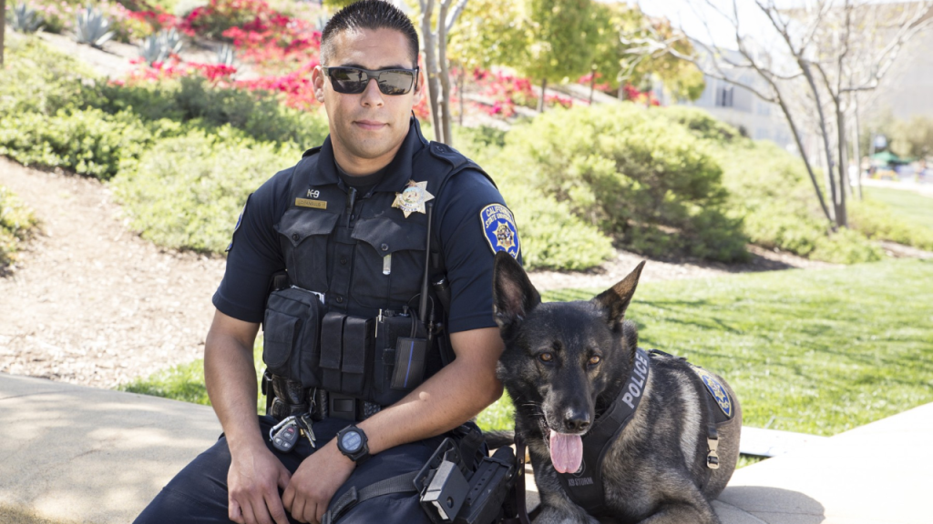 Four Loyal ASO K9s Hang Up Their Leashes After 7-8 Years of Dedicated Service