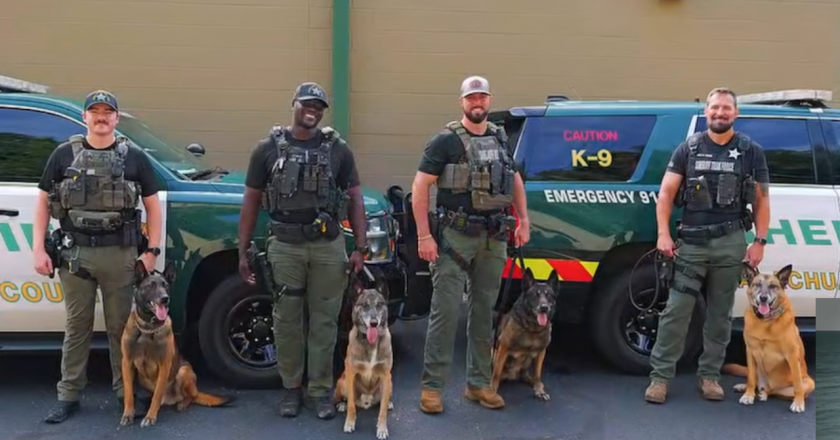 Four Loyal ASO K9s Hang Up Their Leashes After 7-8 Years of Dedicated Service